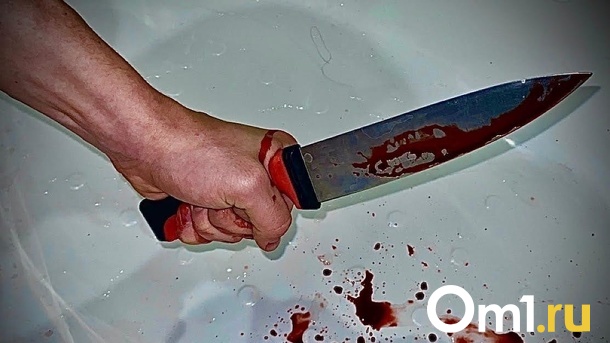 Очевидцы в шоке: новосибирец зарезал знакомого и спрятал труп в лифте. ПОДРОБНОСТИ