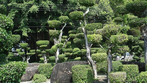 Новый путь развития экономики: Новосибирская область налаживает связи с Таиландом