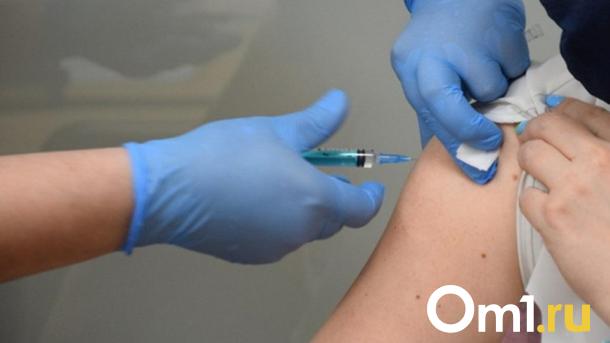 Омичам рассказали, какие прививки необходимо поставить перед выездом за границу