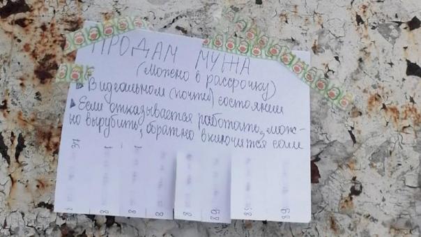 Сибирячка решила продать своего мужа в Новосибирской области