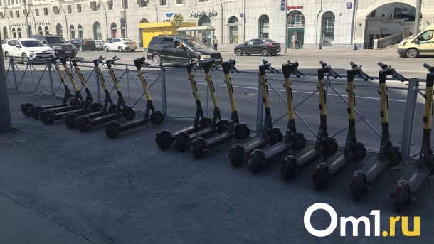 Депутаты Новосибирской области обсудили с общественниками вопрос использования самокатов
