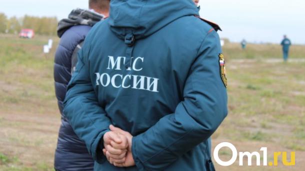 Недобросовестный поставщик оставил омских спасателей без футболок