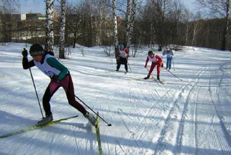 Лыжня в полежаевском парке