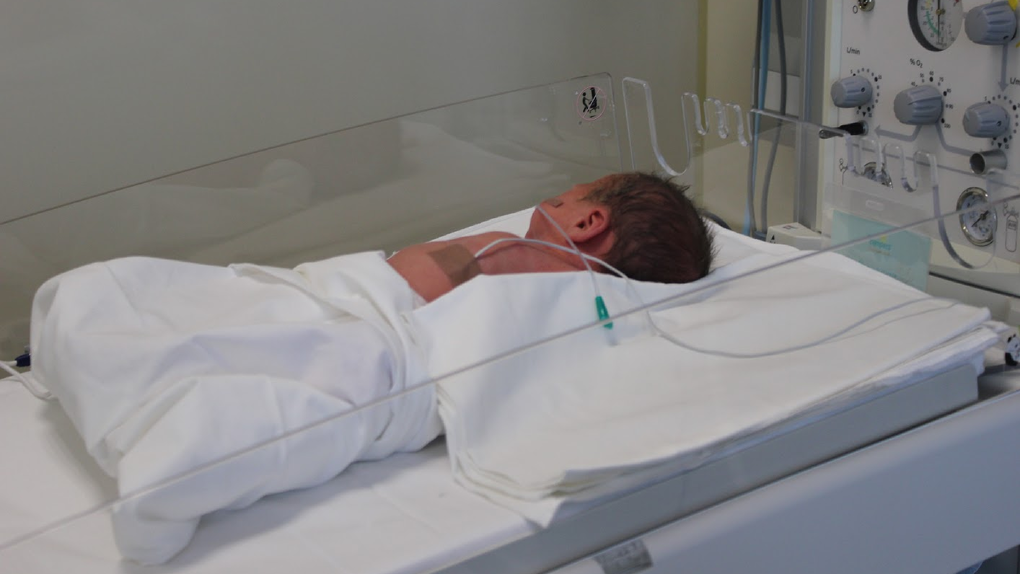Младенец в Новосибирской области заболел клещевым энцефалитом из-за козьего молока