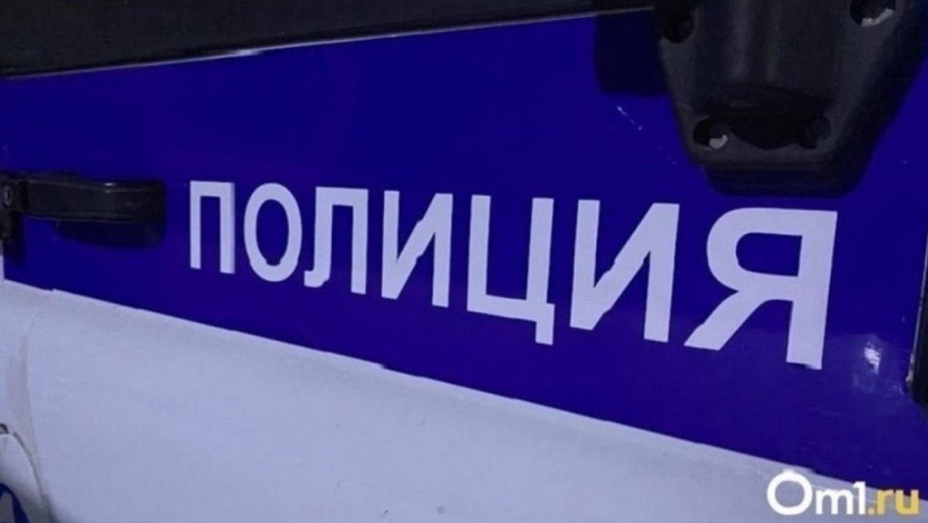 В Новосибирске водитель иномарки гнал по оживлённой детской площадке, чтобы уйти от погони