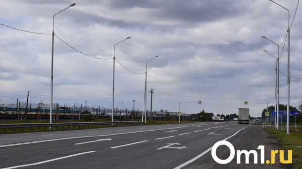 Налоговая хочет обанкротить фирму омского бизнесмена, который ремонтирует для неё здание