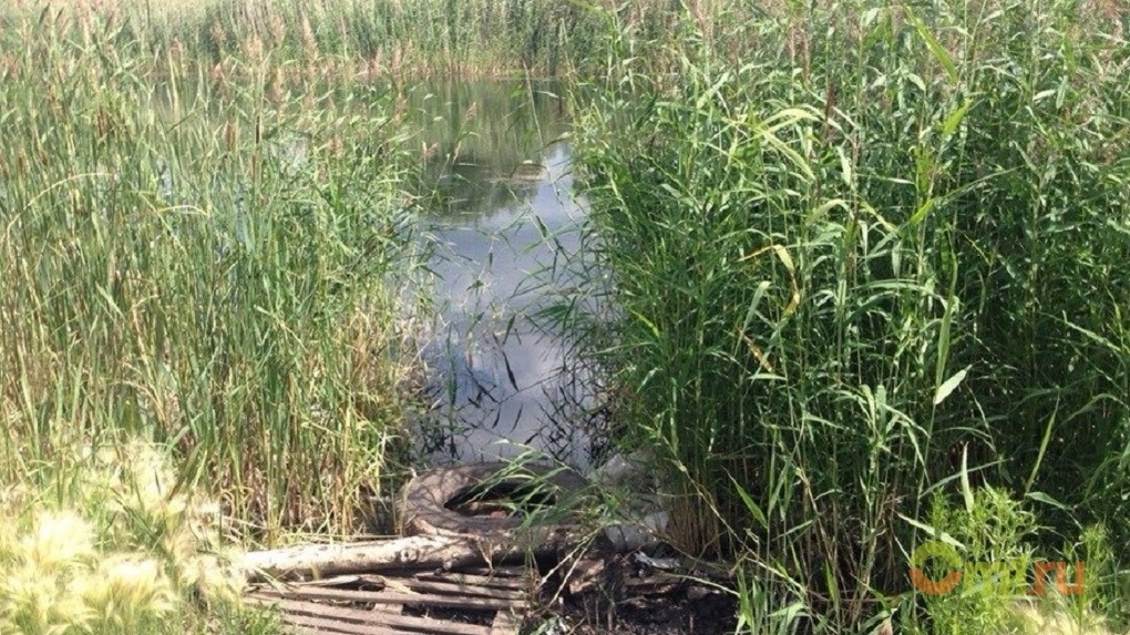 В Омской области при купании в озере утонул мужчина