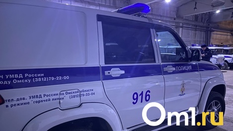 В Омске волонтёры искали пропавшего мальчика в камуфляжной форме