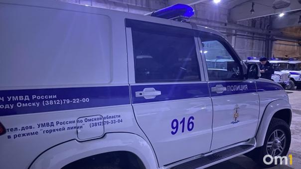 В Омске волонтёры искали пропавшего мальчика в камуфляжной форме