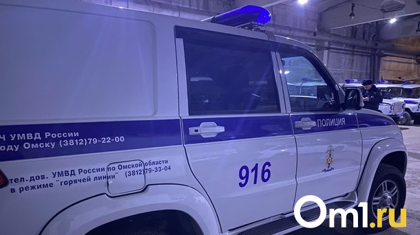 В Омске волонтёры искали пропавшего мальчика в камуфляжной форме