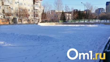 Всему виной снег: омичи жалуются, что их детей лишили хоккейной коробки