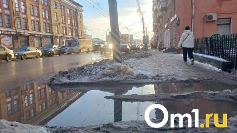 В Омск на следующей неделе придут снегопад и ледяной дождь
