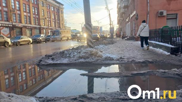 В Омск на следующей неделе придут снегопад и ледяной дождь