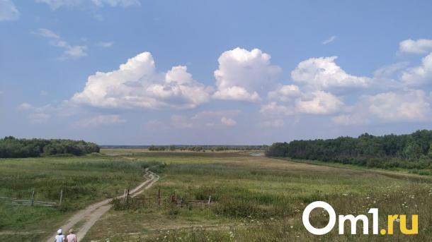 В омском лесу нашли инопланетную экзотику