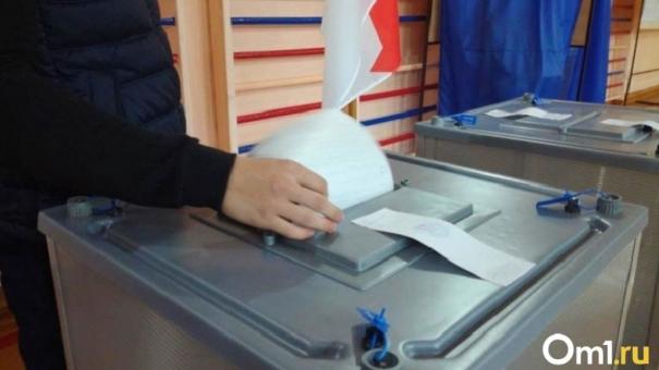 13 нарушений выявили во время довыборов в Заксобрание Новосибирской области