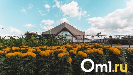 Экраны и видеокамеры: ХК «Авангард» заказывает новое оборудование для СКК имени Блинова