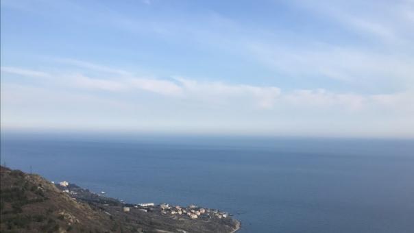 В Новосибирской области зафиксировали землетрясение