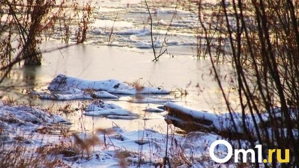 Город-призрак напоминает о себе: что скрывает водохранилище под Новосибирском