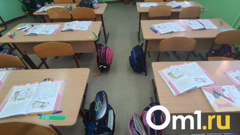 В омском депобре рассказали подробности происшествия с ножом в школе № 33