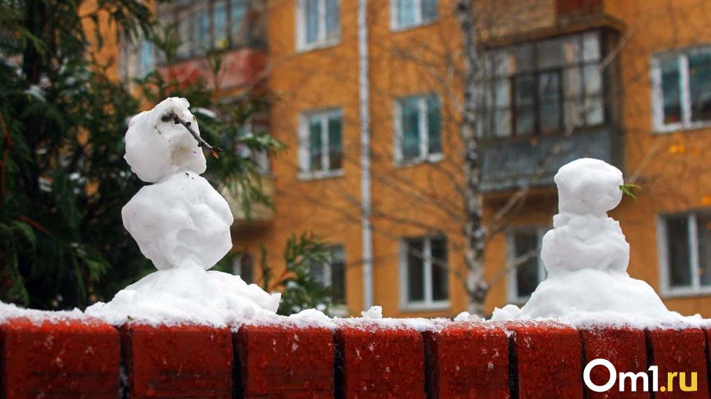 В Омске за два дня похолодает от 0 градусов до -20