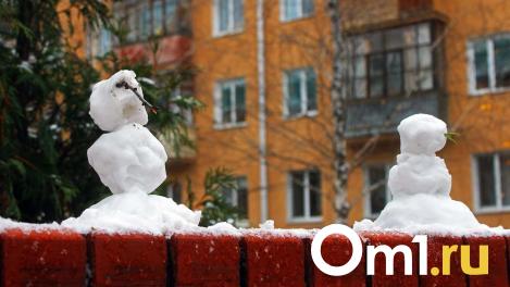 В Омске за два дня похолодает от 0 градусов до -20