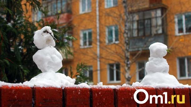 В Омске за два дня похолодает от 0 градусов до -20
