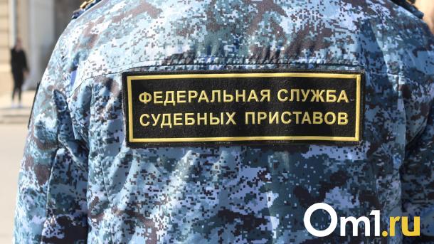 Омская компания «Транстрой» заплатила за несанкционированное пользование землёй