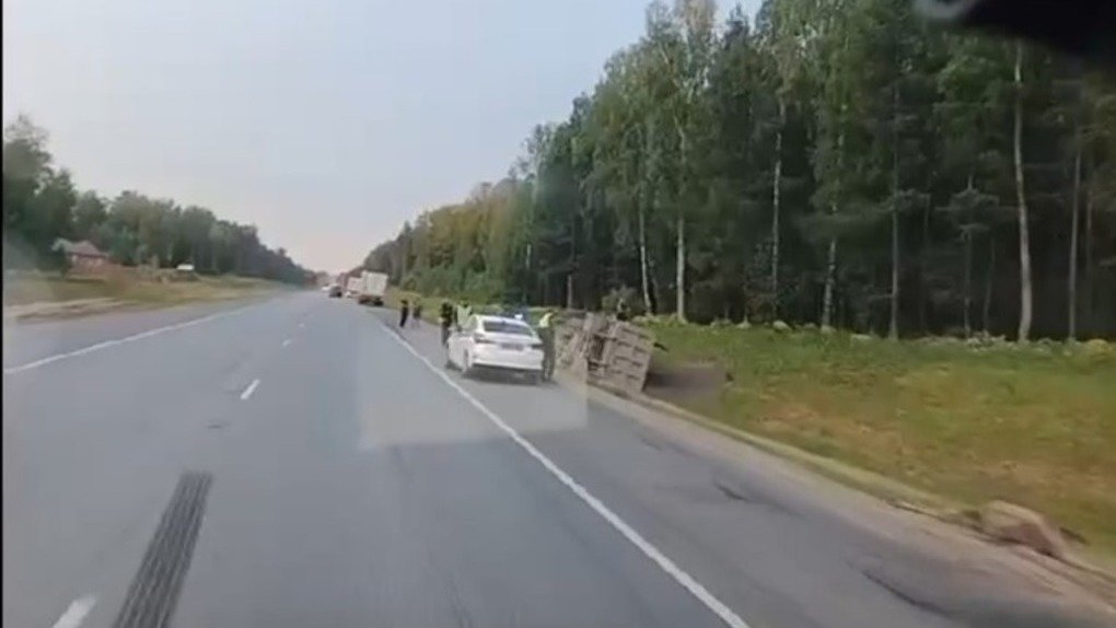 На Северном объезде в Новосибирске большегруз перевернулся из-за столкновения с трупом лося