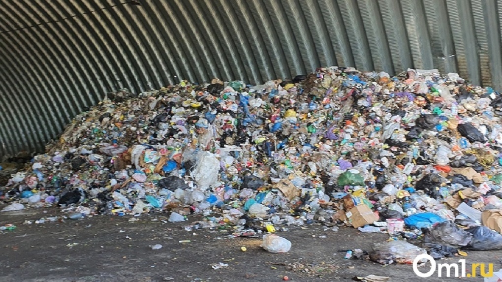 Прекратят ли вывозить мусор на Плющихинском жилмассиве в Новосибирске? Заявление регоператора