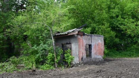 Школьница попала в реанимацию после попытки суицида в лесу под Новосибирском