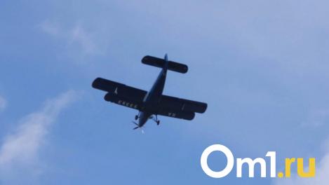 Авиаперелёты по маршруту Омск-Тара могут запустить до конца года