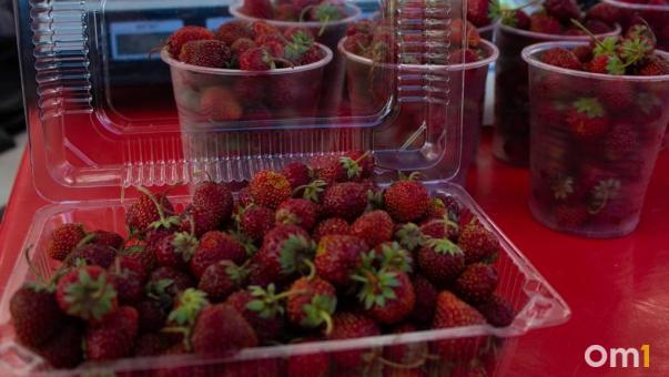 Коробка ягод: омичка собрала первую лесную клубнику