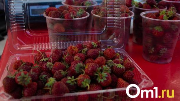 Коробка ягод: омичка собрала первую лесную клубнику