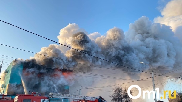 Четверо детей остались сиротами: многодетная мать погибла в страшном пожаре в Новосибирской области