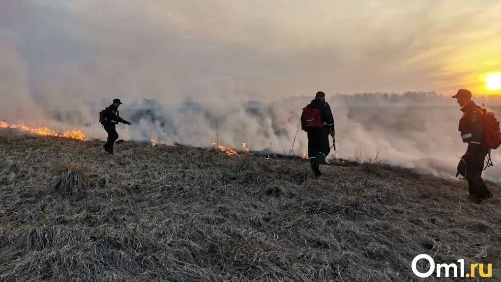 Сложная пожароопасная обстановка ожидается в Омске и Новосибирске — Вильфанд