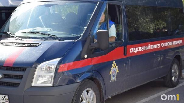 Из-за гибели маленького омича в Муромцевском районе проверят представителей опеки