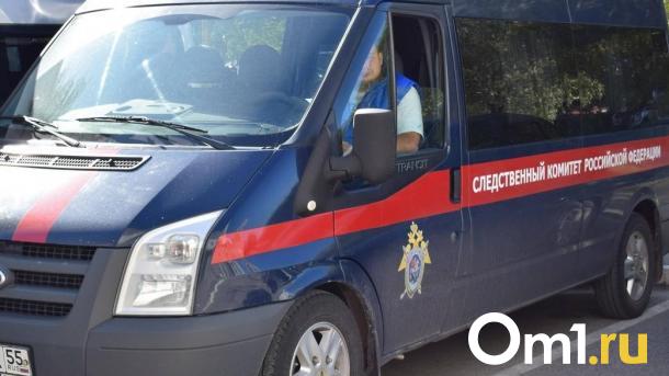 Из-за гибели маленького омича в Муромцевском районе проверят представителей опеки