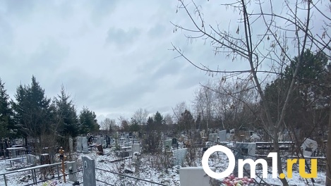 Не выгорело: омская мэрия сомневается, что в городе построят крематорий