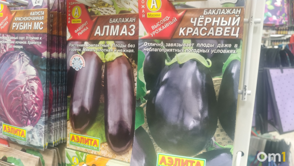 Сибирячка-блогер поделилась секретом выращивания баклажанов