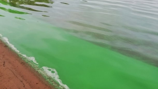 Иртыш в Омске окрасился в ярко-зелёный цвет