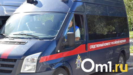 В Новосибирске СК проверяет падение акробата на арену цирка