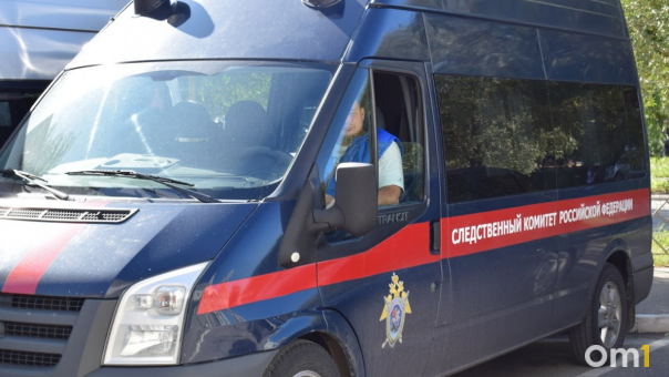 В Новосибирске СК проверяет падение акробата на арену цирка