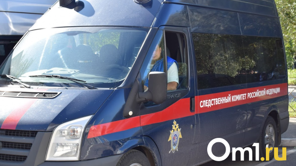 В Новосибирске СК проверяет падение акробата на арену цирка