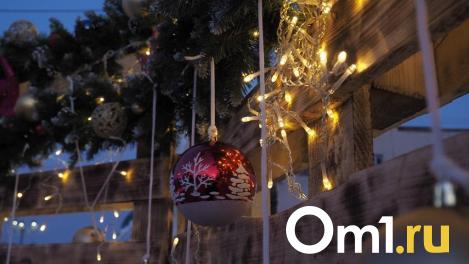 Названа дата открытия зимнего сезона в омских парках