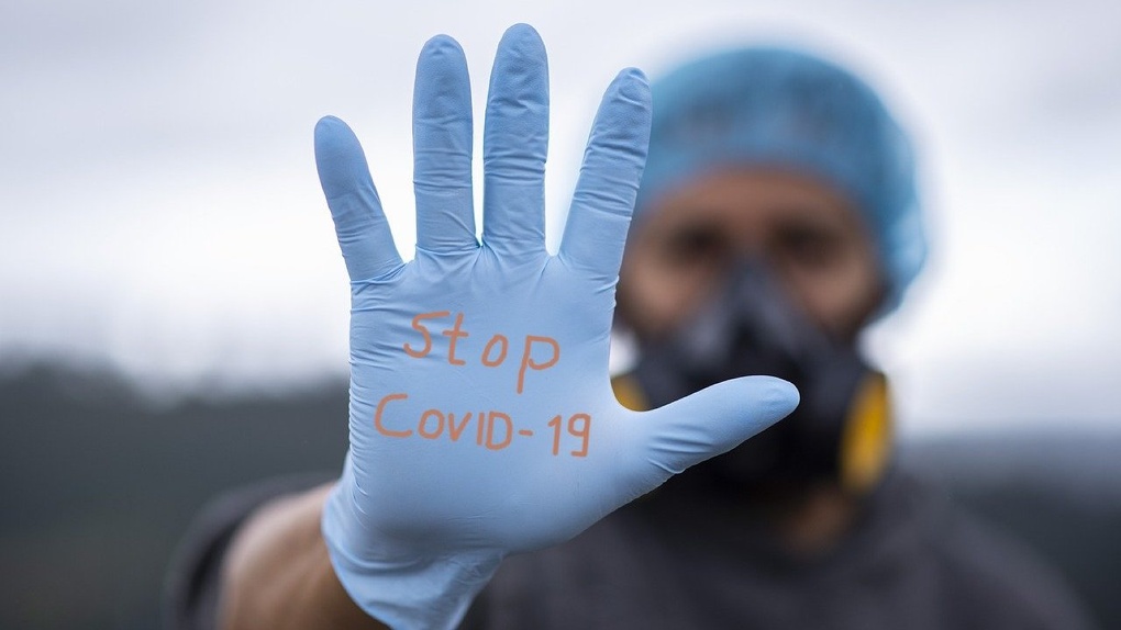 В Новосибирске вакцина от коронавируса появится к осени 2020 года