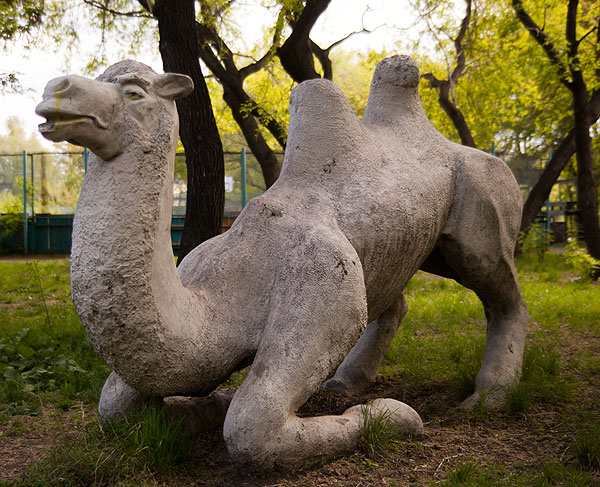 Фигуры Животных Фото