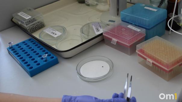 В Омской области от укусов клещей пострадали уже 35 детей