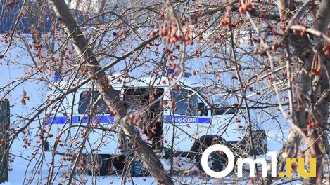 Сын снимал на видео: опубликованы жуткие подробности убийства женщины в селе под Омском