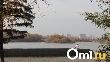 В Омской области объявили режим НМУ первой степени опасности
