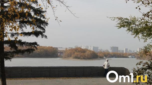 В Омской области объявили режим НМУ первой степени опасности